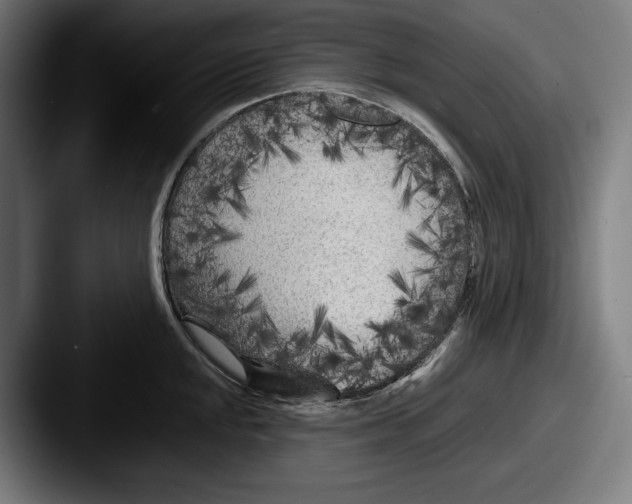 X0000087581048200705181157