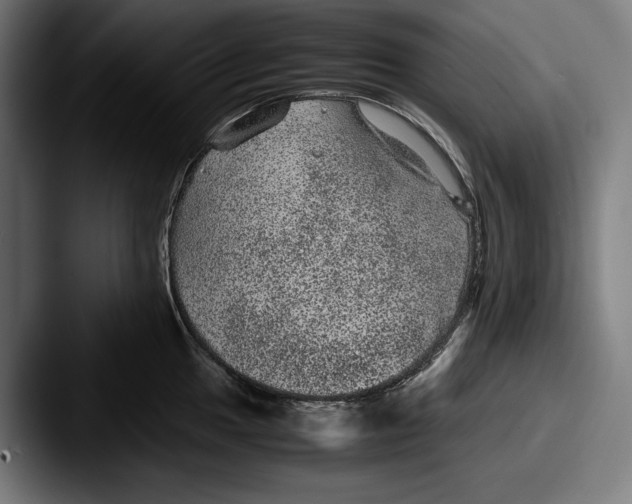 X0000087581049200705181157