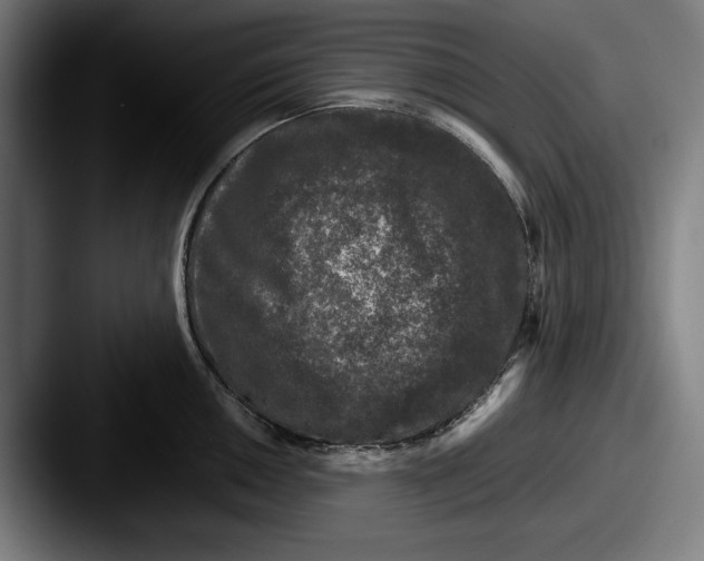 X0000087581050200705181157
