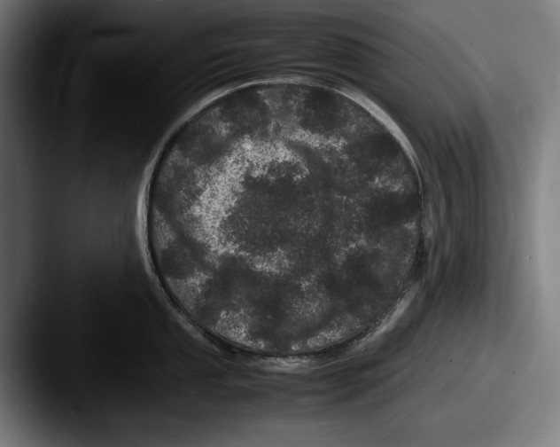 X0000087581053200705181157