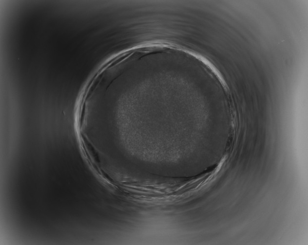 X0000087581054200705181157