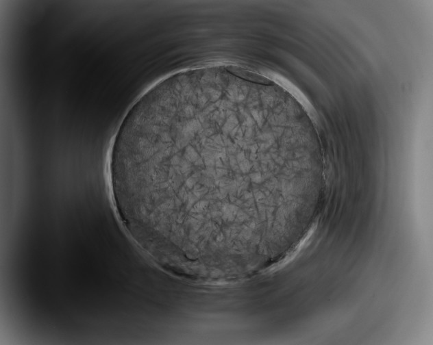 X0000087581055200705181157