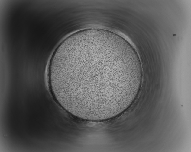 X0000087581056200705181157