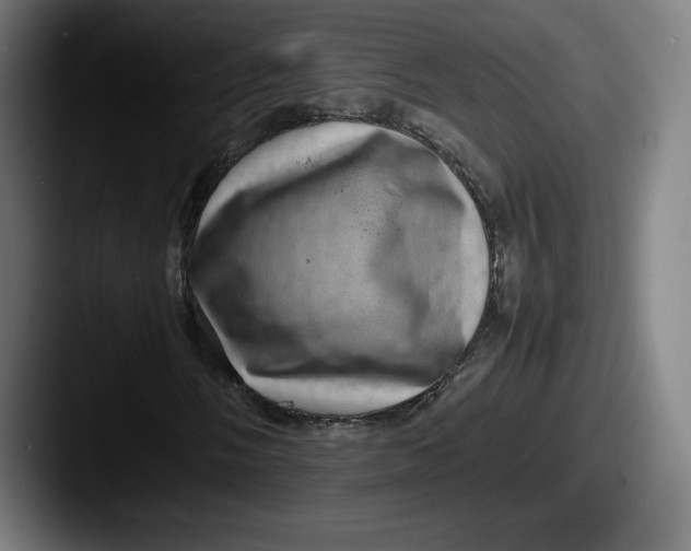 X0000087581058200705181157