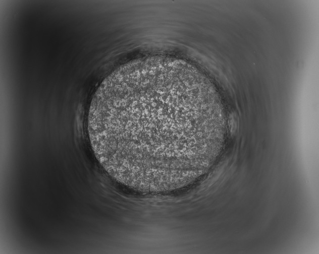 X0000087581059200705181157