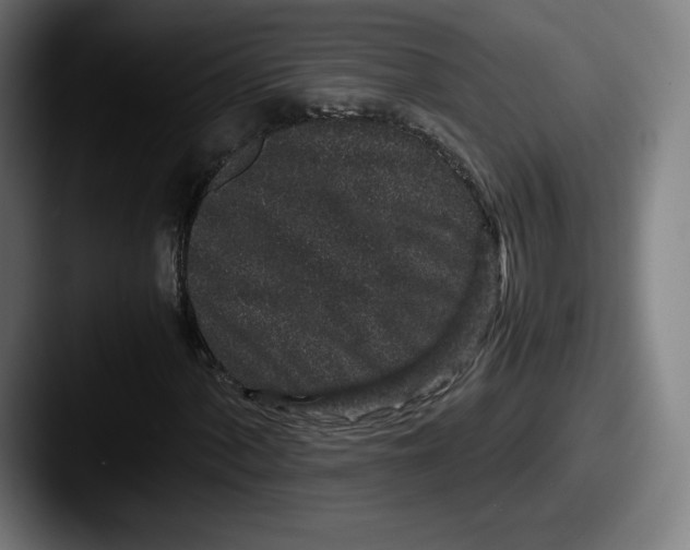 X0000087581060200705181157
