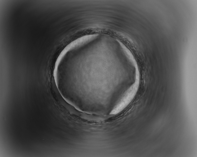 X0000087581062200705181157