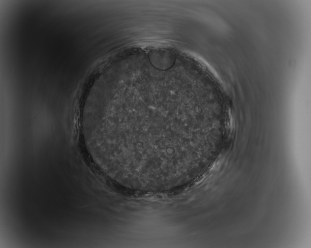 X0000087581063200705181157