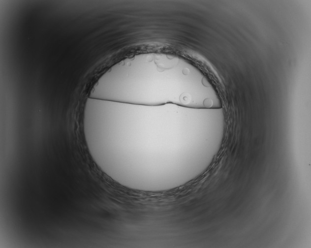X0000087581064200705181157