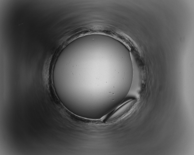 X0000087581065200705181157