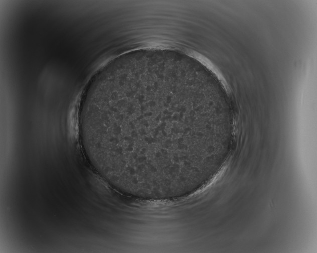 X0000087581067200705181157
