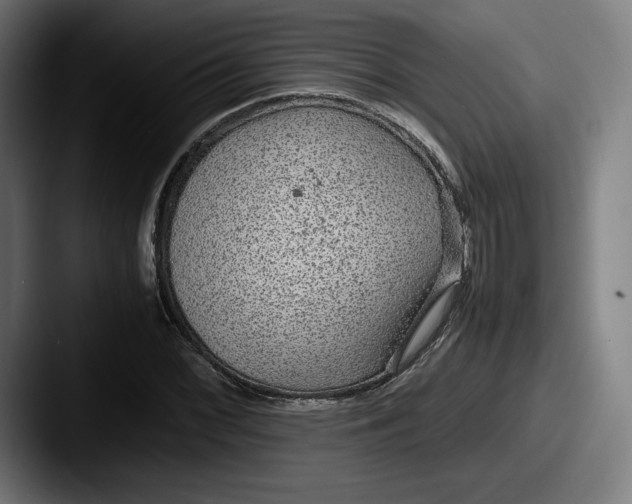 X0000087581068200705181157