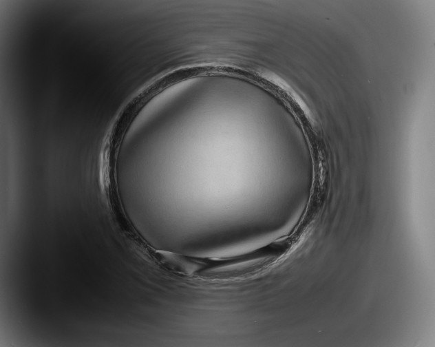 X0000087581069200705181157