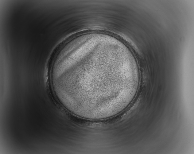 X0000087581070200705181157