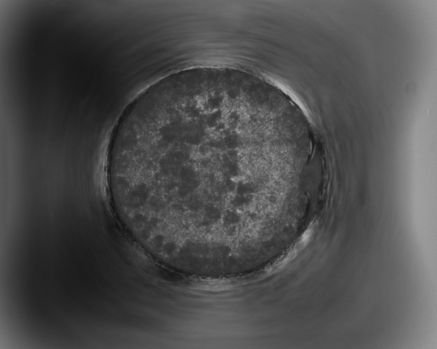 X0000087581071200705181157