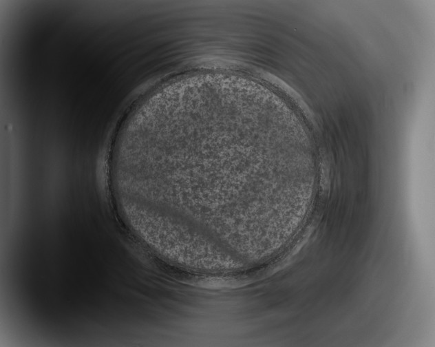 X0000087581074200705181157