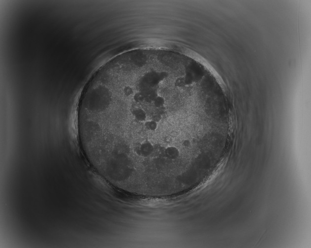 X0000087581075200705181157