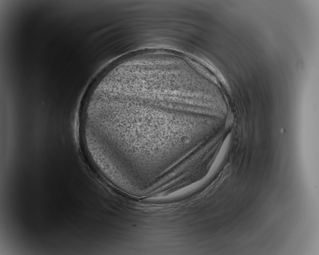X0000087581076200705181157