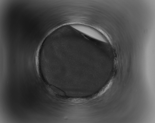 X0000087581077200705181157