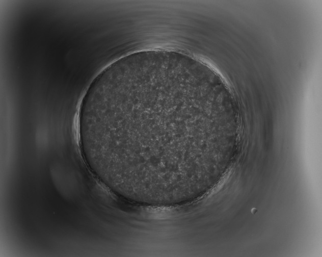 X0000087581079200705181157