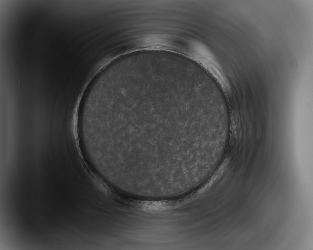 X0000087581082200705181157
