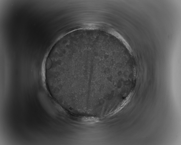 X0000087581083200705181157