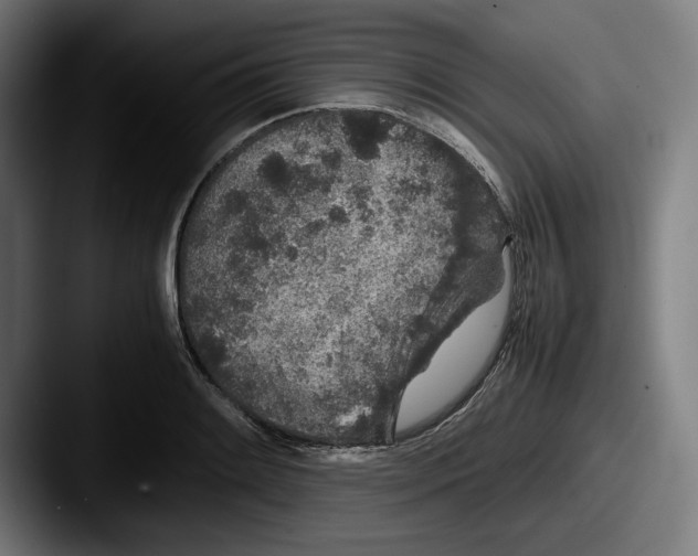 X0000087581084200705181157
