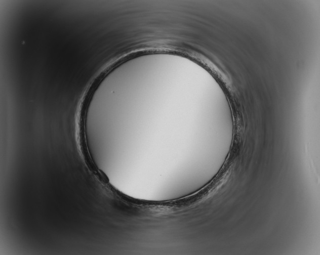 X0000087581085200705181157