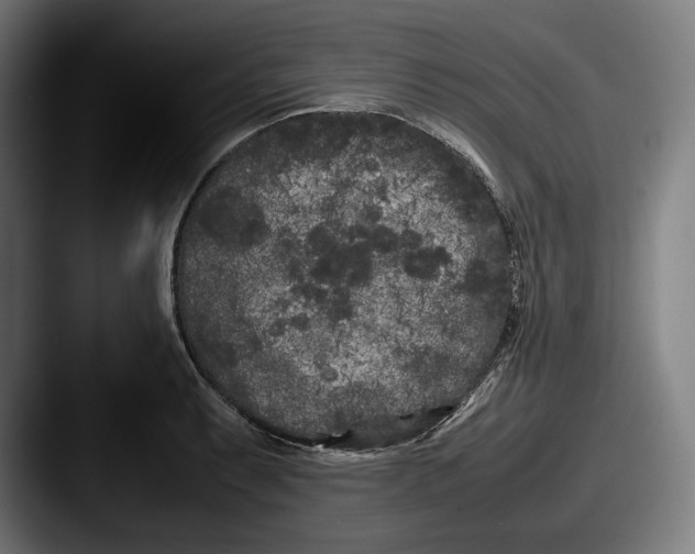 X0000087581087200705181157