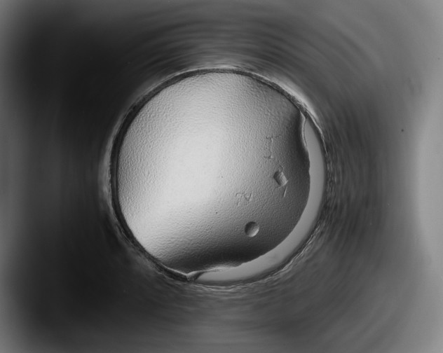 X0000087581088200705181157