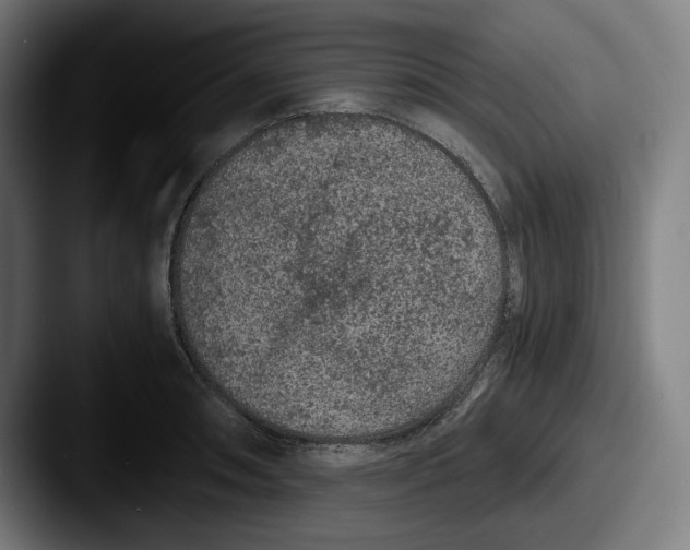 X0000087581090200705181156
