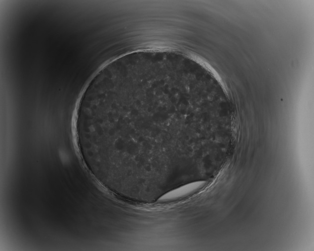 X0000087581091200705181156