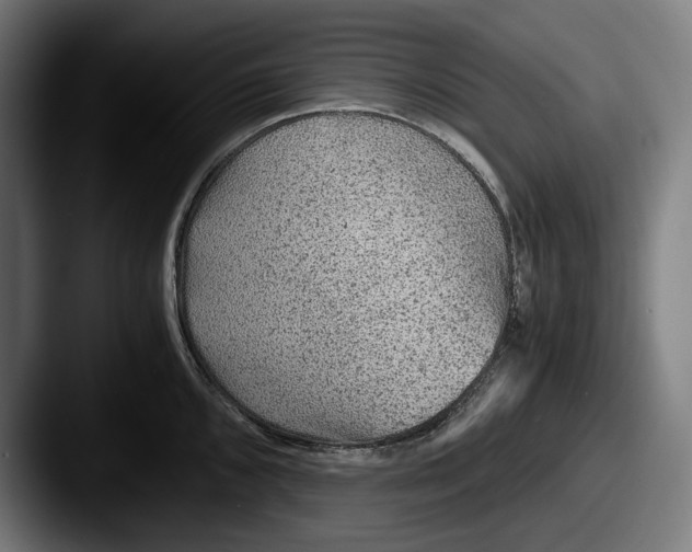 X0000087581096200705181156