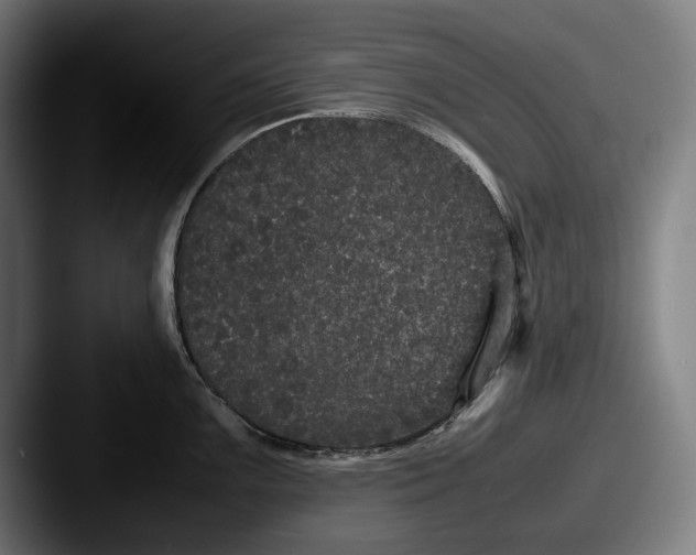 X0000087581099200705181156