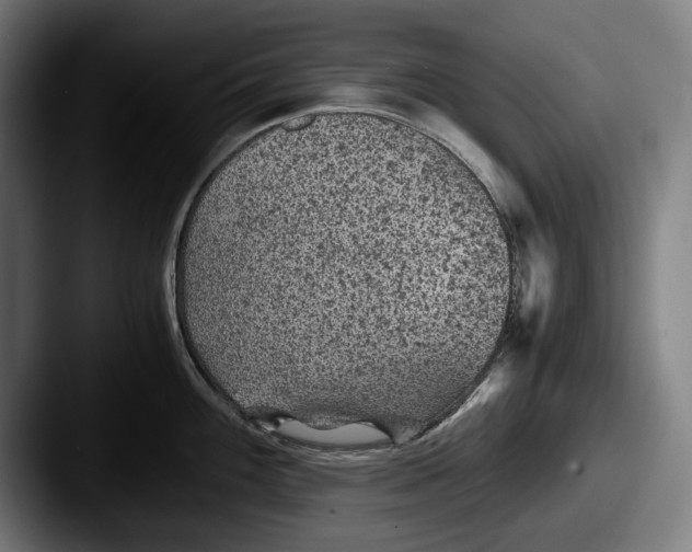 X0000087581100200705181156