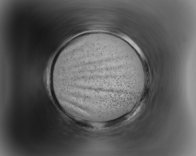 X0000087581101200705181156