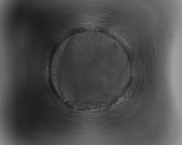 X0000087581106200705181156