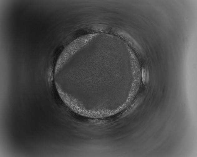 X0000087581107200705181156