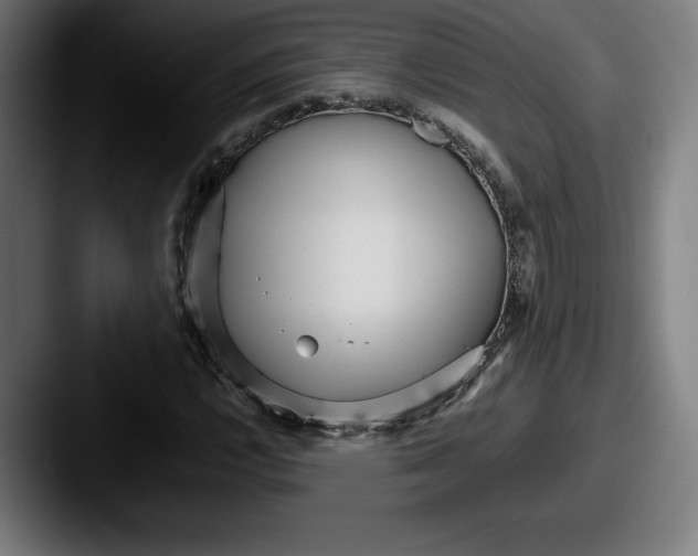 X0000087581112200705181156