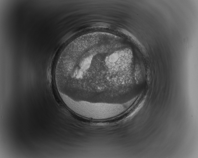 X0000087581113200705181156