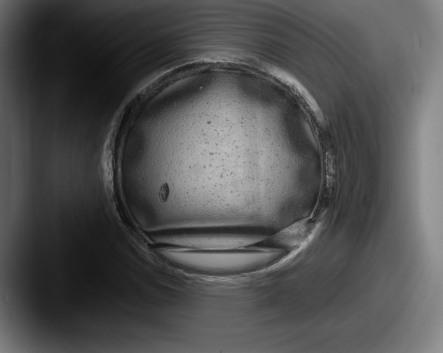 X0000087581114200705181156