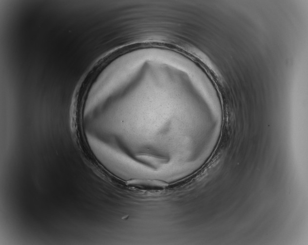 X0000087581116200705181156