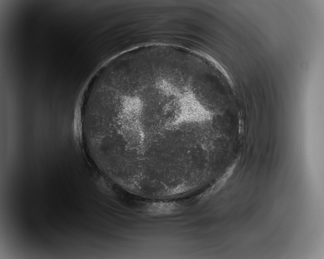 X0000087581117200705181156