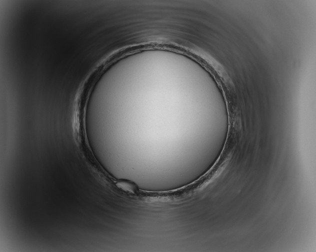 X0000087581118200705181156