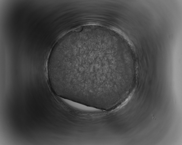 X0000087581121200705181156