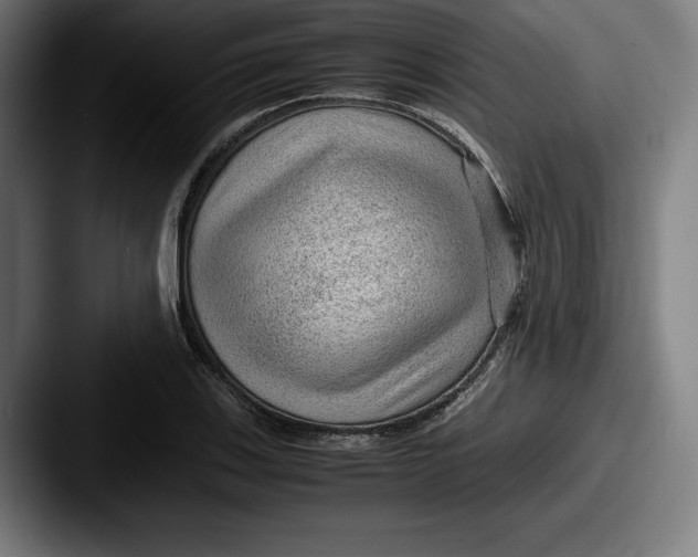 X0000087581123200705181156