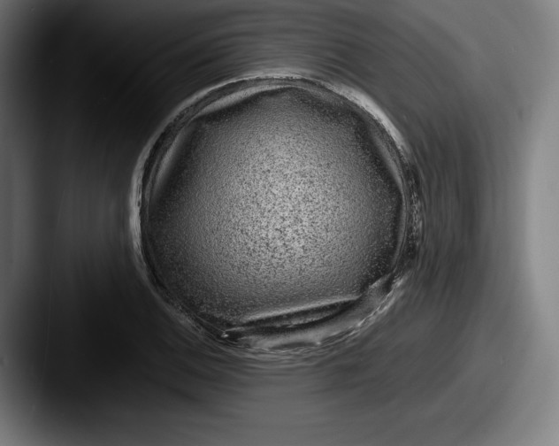 X0000087581124200705181156