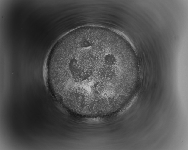 X0000087581125200705181156