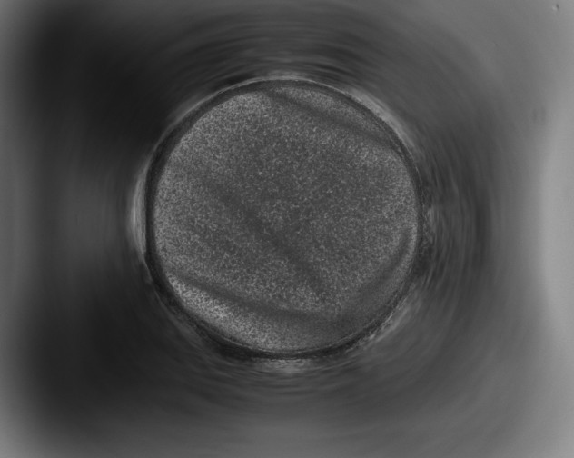 X0000087581127200705181156