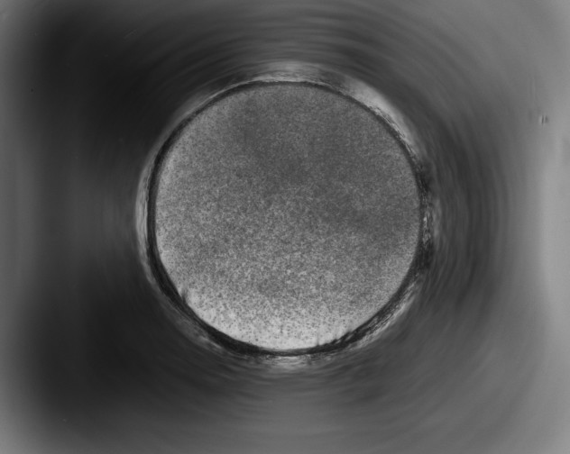 X0000087581130200705181156